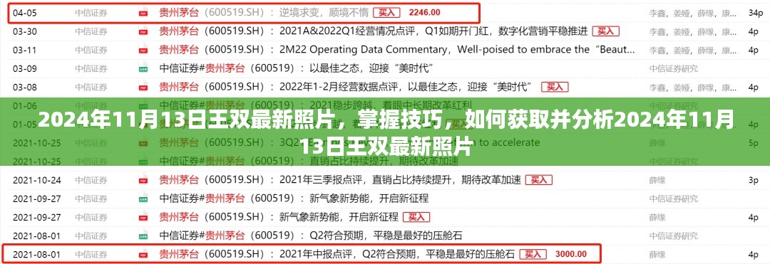 独家揭秘,掌握技巧获取并分析王双最新照片(2024年11月13日)