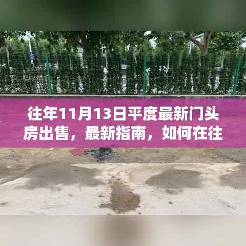 往年11月13日平度门头房购买指南,最新出售信息及购买攻略