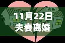 11月22日夫妻离婚财产分割最新,最新解读,11月22日夫妻离婚财产分割细则