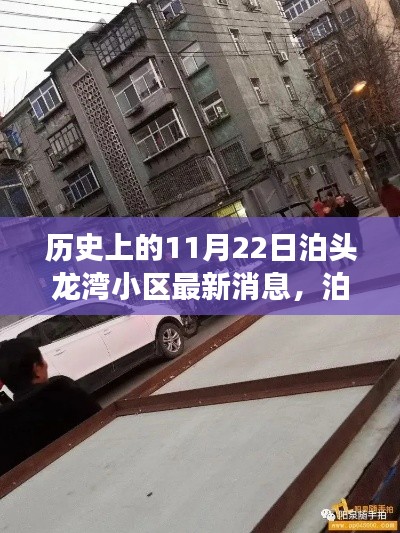 泊头龙湾小区,穿越时空的社区发展史纪实——最新消息更新日,11月22日纪实报道