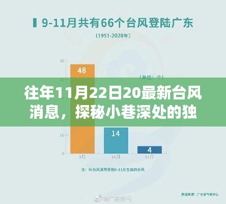 台风之日的惊喜,探秘小巷风味与最新动态