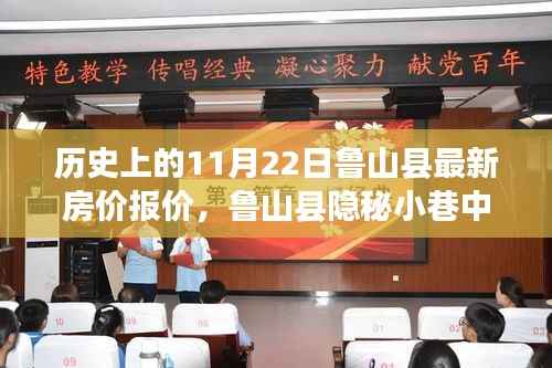 揭秘鲁山县房价历史变迁与隐秘小巷特色小店魅力,最新房价报价一网打尽