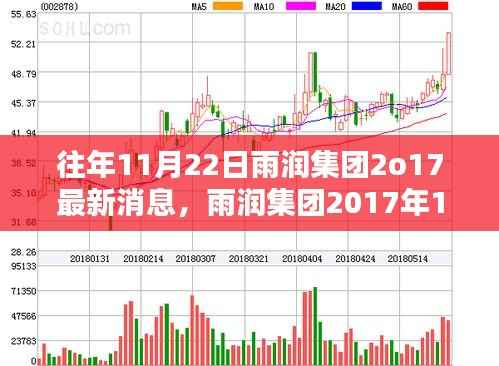 雨润集团最新消息获取指南,初学者与进阶用户适用的指南(附详细消息)
