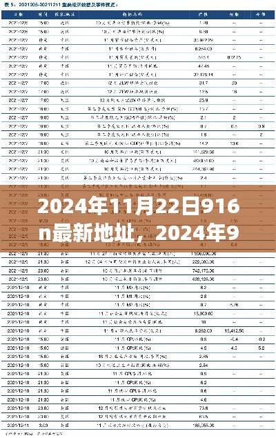 2024年916n最新地址回顾,事件背景、进展与影响全解析