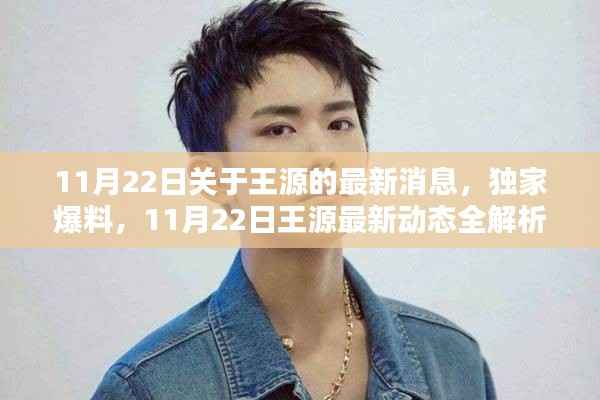 独家爆料,王源最新动态全解析(最新消息更新)