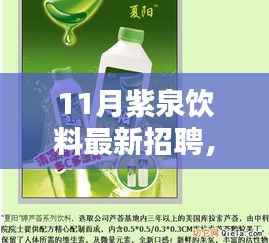 紫泉饮料招聘启事,产品特性、用户体验与目标用户群体深度解析,探寻最新人才加盟