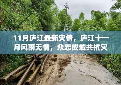 庐江十一月灾情严峻,众志成城共抗风雨无情