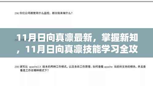 11月日向真凛技能学习全攻略,最新知识与技能的掌握
