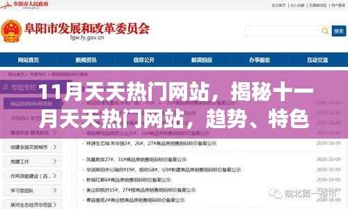 揭秘十一月热门网站趋势、特色与成功案例,带你了解天天热门网站动态