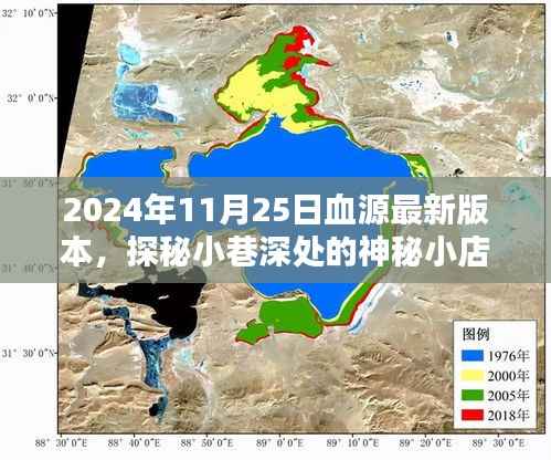 探秘神秘小店,2024年血源最新版本的独特体验揭秘