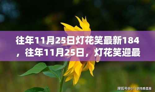 往年11月25日灯花笑迎最新章节,文学魅力的独特探索之旅