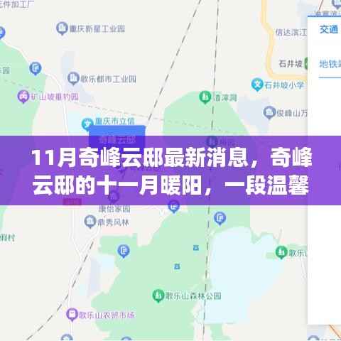 奇峰云邸十一月暖阳,邻里日常故事与最新消息