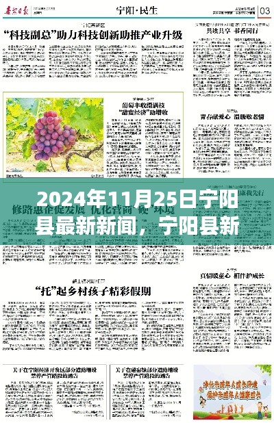 宁阳县新闻探索之旅,解读本地最新资讯(以2024年11月25日为例)