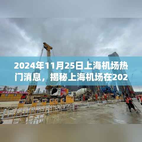 揭秘上海机场在高峰日的最新动态,特性、体验、竞争分析与用户洞察(2024年11月25日)