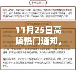11月25日高陵最新资讯与热门通知汇总