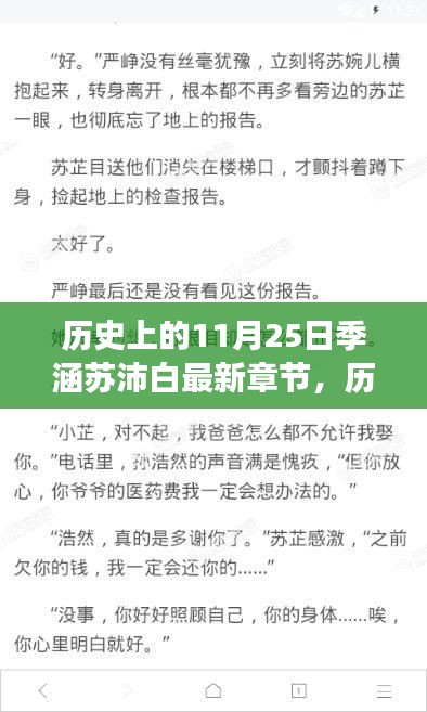 历史上的11月25日与季涵苏沛白,多维度视角下的观点碰撞最新章节探讨