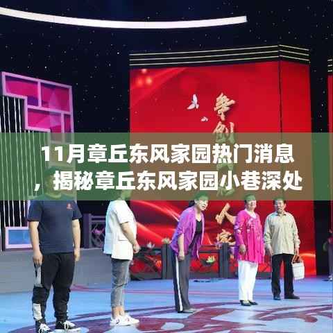 揭秘章丘东风家园小巷深处的独特风味,十一月探秘之旅