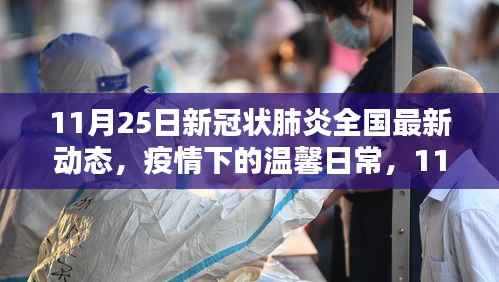 11月25日新冠状肺炎全国最新动态,疫情下的温馨日常与新希望纽带