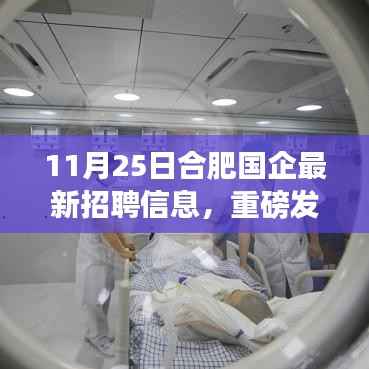 合肥国企全新高科技岗位招聘启幕,探索未来科技生活的机遇(11月25日)
