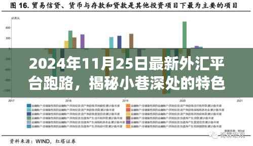 揭秘特色小店背后的外汇平台跑路事件,意外发现之旅的警示故事