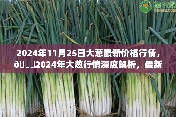 🌟2024年大葱行情深度解析,最新价格动态与市场趋势预测🌟