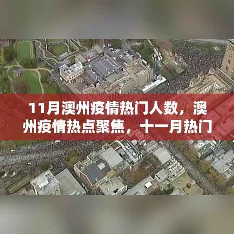 11月澳州疫情热点聚焦,热议人数激增