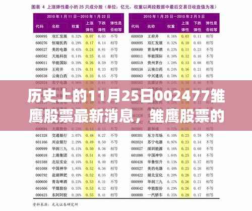 雏鹰股票的历史时刻,揭秘11月25日最新消息与深度解读背后的故事
