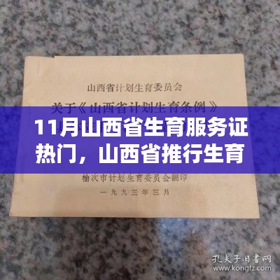 山西省生育服务证制度,利弊分析与个人观点观察
