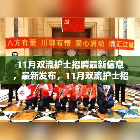 11月双流护士招聘最新信息及资讯概览