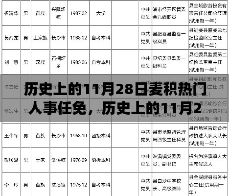 历史上的11月28日麦积人事任免深度解析与介绍