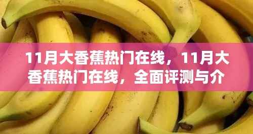 11月大香蕉热门在线,11月大香蕉热门在线,全面评测与介绍