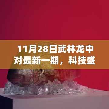 武林龙中对最新一期揭秘,科技盛宴,体验未来科技的力量!
