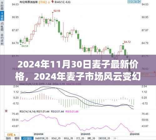 2024年麦子市场风云变幻,最新价格走势与时代影响分析