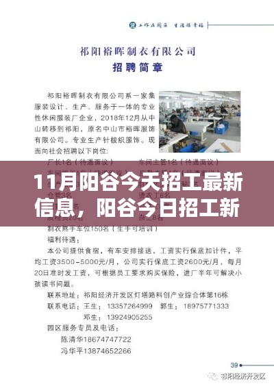 阳谷最新招工信息,科技智能重塑招聘体验,11月招工新动态