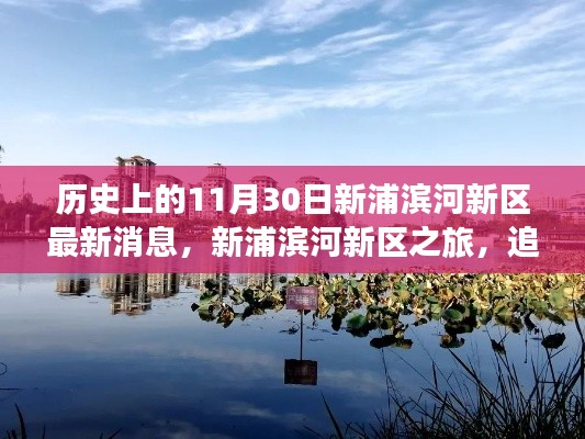 新浦滨河新区,追寻自然美景与内心宁静之旅的历史最新消息