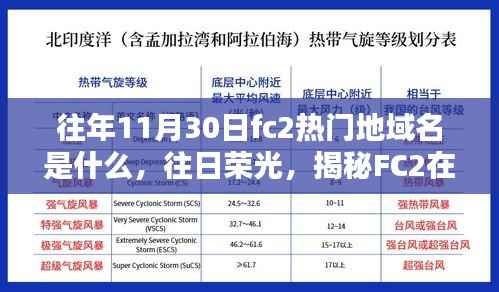 揭秘往年11月30日FC2热门地域名热潮,往日荣光下的域名热潮探索