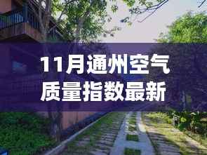 探秘绿意盎然中的通州空气质量与独特小店之旅