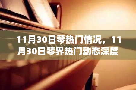 11月30日琴界热门动态深度解析,热门情况一览