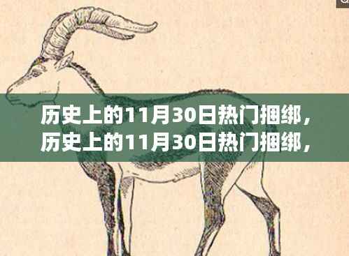 历史上的11月30日热门捆绑,与自然美景的邂逅之旅回顾