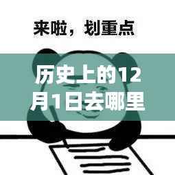 穿越历史,表情包之旅,探寻心灵宁静与自然馈赠的12月1日