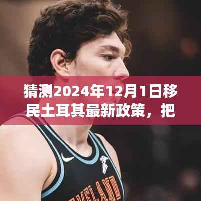 2024年土耳其移民新政策预测,把握机遇,扬帆启程,共筑未来梦