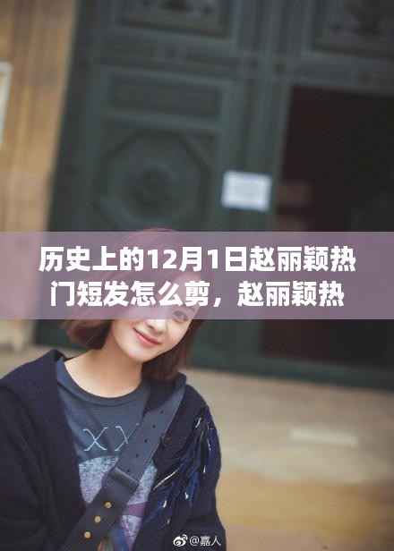 赵丽颖热门短发解析与剪发指南,历史发型演变与剪发技巧,12月1日特别关注