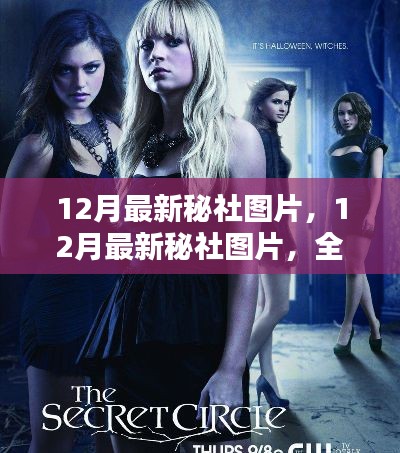最新秘社图片大放送,全面评测与深度介绍