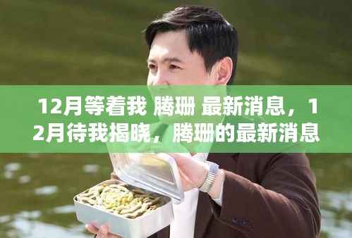 腾珊最新消息揭秘,热议与观点碰撞,12月揭晓悬念