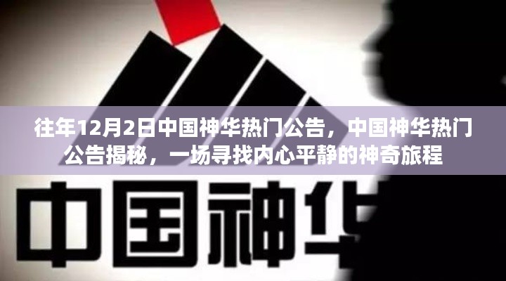 中国神华热门公告背后的神奇旅程,探寻内心平静的征途