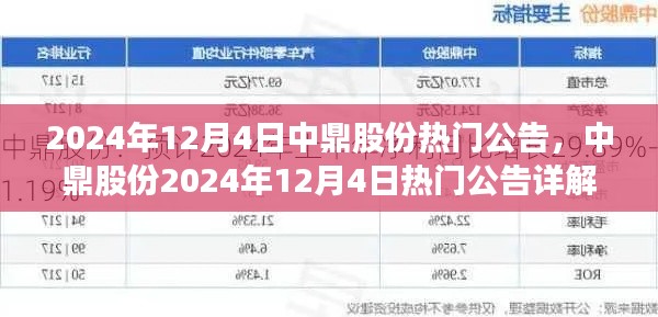 中鼎股份2024年12月4日热门公告详解,展望要点、动态与影响分析