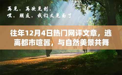 逃离都市喧嚣,一场寻找内心平静的奇妙旅程,历年网评热点文章盘点