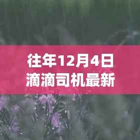 滴滴司机导航更新，与自然美景相遇的宁静之旅