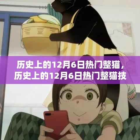 历史上的12月6日热门整猫技能全攻略,新手进阶的猫奴手册