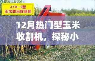 探秘热门型玉米收割机,小巷深处的奇缘与体验之旅